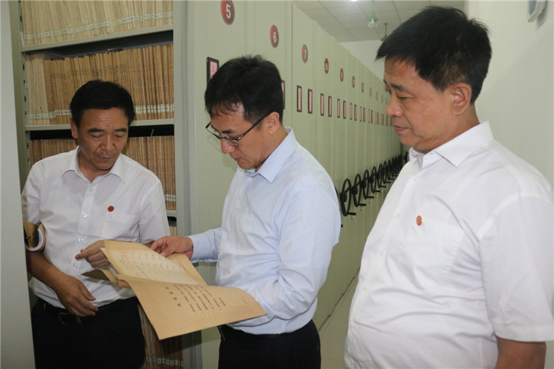 李嘉辉副市长（中）阅览档案.jpg
