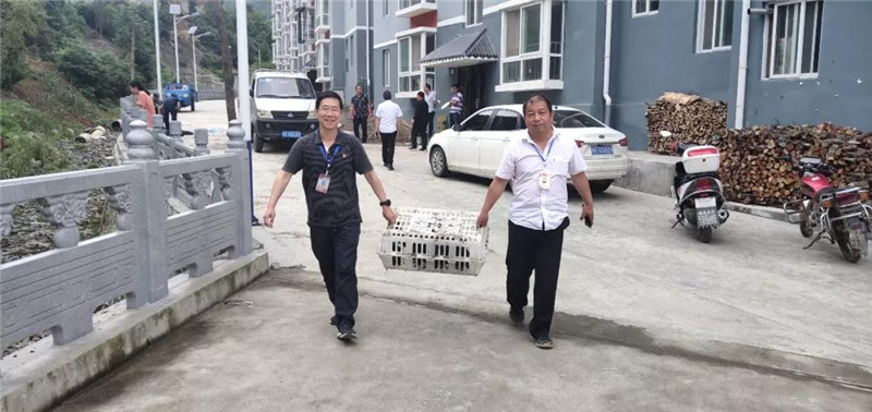 微信图片_20200122092513.jpg 微信图片_20200122092513.jpg