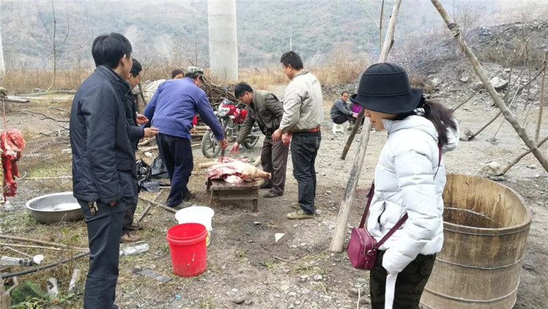 微信图片_20200122092539.jpg 微信图片_20200122092539.jpg