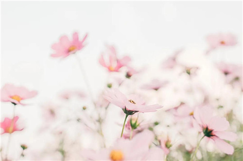 微信图片_20210205150709.jpg 微信图片_20210205150709.jpg