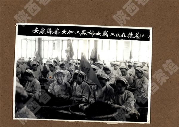 微信图片_20210419103340.png 微信图片_20210419103340.png