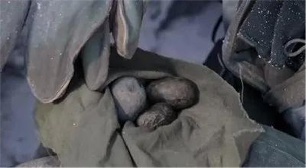 微信图片_20211122140627.jpg 微信图片_20211122140627.jpg