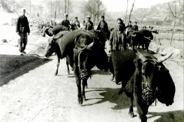 微信图片_20211122140631.jpg 微信图片_20211122140631.jpg