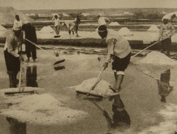 微信图片_20211124125614.jpg 微信图片_20211124125614.jpg